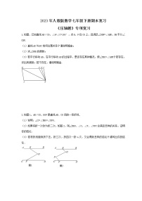 2023年人教版数学七年级下册期末复习《压轴题》专项复习(含答案)