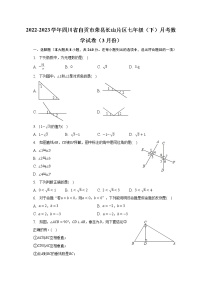 2022-2023学年四川省自贡市荣县长山片区七年级（下）月考数学试卷（3月份）（含解析）