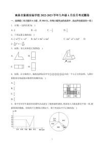 江西省南昌市青云谱区南昌市象湖实验学校2022-2023学年九年级下学期4月月考数学试题