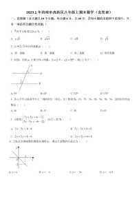 2023.1年济南市高新区八年级上期末数学（含答案）