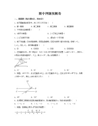 期中押题预测卷（测试范围：第五章-第七章）——2022-2023学年人教版数学七年级下册单元综合复习（原卷版+解析版）