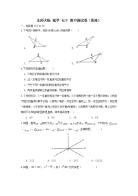 北师大版  数学 七下 期中测试卷（困难）