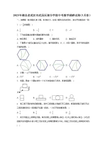 2023年湖北省武汉市武昌区部分学校中考数学调研试卷（3月份）（含答案）