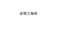 2023年中考数学一轮复习课件： 全等三角形