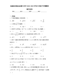 安徽省马鞍山市第八中学2022-2023学年八年级下学期期中数学试卷