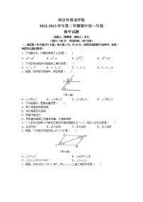 江苏省南京市南京外国语学校2022-2023学年七年级下学期期中数学试题