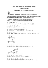 山东省青岛市城阳区2022-2023学年七年级下学期期中数学试题