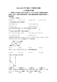 江苏省徐州市2022-2023学年七年级下学期期中数学试题