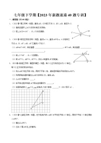 2022-2023年人教版数学七年级下册专项复习精讲精练： 解答题新题速递40题专训（第五、六、七章）