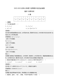 数学（四川成都专用01卷）——2022-2023学年数学七年级下册期中综合素质测评卷（含解析）