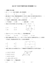 2023年广东省中考数学总复习阶段检测（九）(含答案)