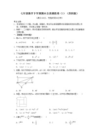 七年级数学下学期期末全真模拟卷（3）-七年级数学下学期考试满分全攻略（苏科版）