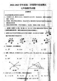 江苏省南通市启东市2022-2023学年七年级下学期4月期中质量测试数学试题（含答案）