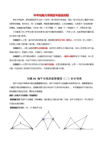 2023年中考数学常见几何模型全归纳  专题08 角平分线的基本模型（二）非全等类