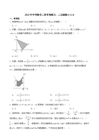 2023年中考数学二轮专项练习:二次函数附答案