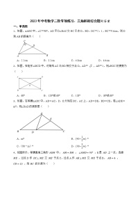 2023年中考数学二轮专项练习：三角形的综合题附答案