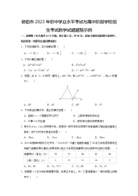 2023年四川省德阳市中考题型示例数学试题（含答案）