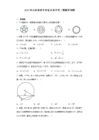 2023年山东省济宁市金乡县中考二模数学试题(含解析)