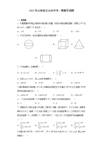 2023年云南省文山州中考一模数学试题(含解析)