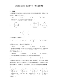 云南省文山2023年州中考（一模）数学试题(含解析)