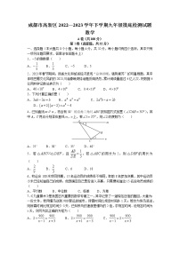 2023年四川省成都市高新区中考一模数学试题(含答案)