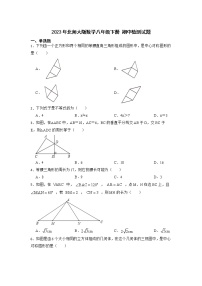 2022-2023学年北师大版数学八年级下册+期中检测试题