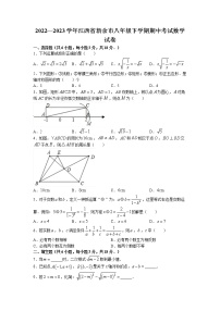 江西省新余市2022-2023学年八年级下学期期中数学试卷