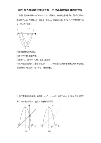 2023年九年级数学中考专题：二次函数综合压轴题附答案附答案