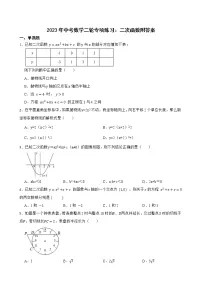 2023年中考数学二轮专项练习:二次函数附答案
