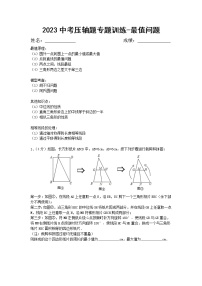 2023年中考数学压轴题专题训练-最值问题