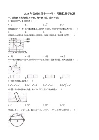 2023年安徽省宿州市第十一中学中考模拟数学试题（含答案）