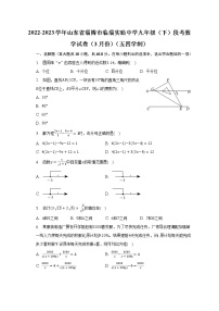 2022-2023学年山东省淄博市临淄实验中学九年级（下）段考数学试卷（3月份）（五四学制）(含解析）