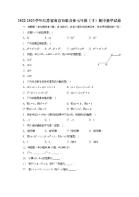 2022-2023学年江苏省南京市联合体七年级（下）期中数学试卷(含解析）