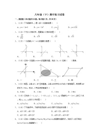 湖南省长沙市2021-2022学年湖南师大附中梅溪湖中学八年级（下）期中数学试卷（带答案）