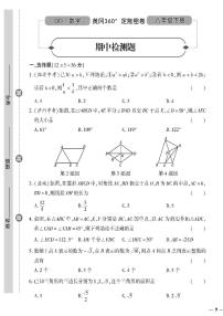 （2023春）青岛版数学初中八年级下册-黄冈360°定制密卷_期中检测题