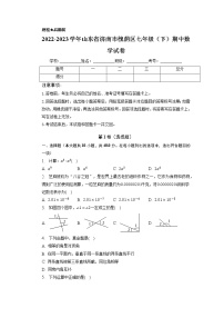 山东省济南市槐荫区2022-2023学年七年级下学期期中数学试卷