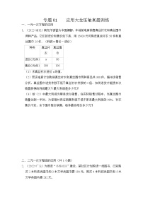 专题01 应用大全压轴真题训练-挑战2023年中考数学压轴真题汇编（全国通用）