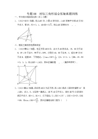 专题08  相似三角形综合压轴真题训练-挑战2023年中考数学压轴真题汇编（全国通用）