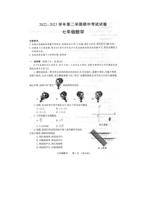 河南省濮阳市清丰县2022-2023学年七年级下学期4月期中数学试题