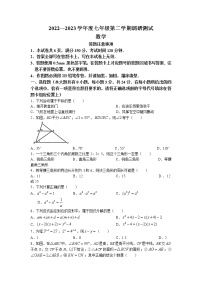 江苏省宿迁市湖滨新区2022-2023学年七年级下学期期中数学试卷