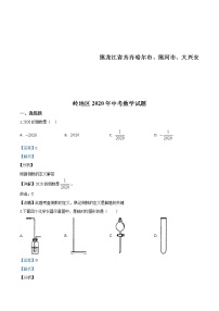 黑龙江省齐齐哈尔市、黑河市、大兴安岭地区2020年中考数学试题（教师版）