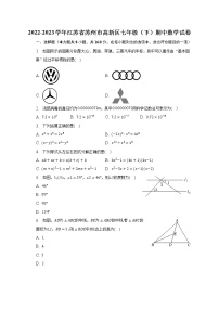 2022-2023学年江苏省苏州市高新区七年级（下）期中数学试卷（含解析）