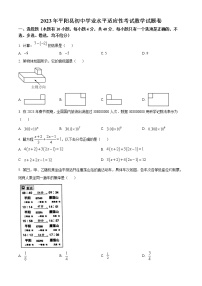 精品解析：2023年浙江省温州市平阳县中考一模数学试题