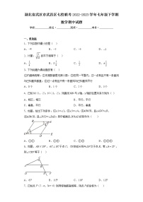 湖北省武汉市武昌区七校联考2022-2023学年七年级下学期数学期中试题