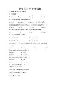 人教版2022-2023学年七年级上册期中数学复习试卷(含答案)