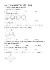 2022年广东省江门市恩平市中考一模数学试卷（含答案）