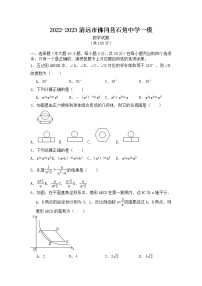 2023年广东省清远市佛冈县石角中学中考一模数学试题（含答案）