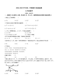 江苏省南京市玄武区四校联考2022-2023学年七年级下学期期中数学试题（含答案）