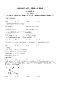 江苏省南京市玄武区四校联考2022-2023学年七年级下学期期中数学试题(含答案)