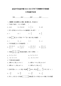四川省内江市威远中学校2022-2023学年七年级下学期期中学情调研数学试题（含答案）